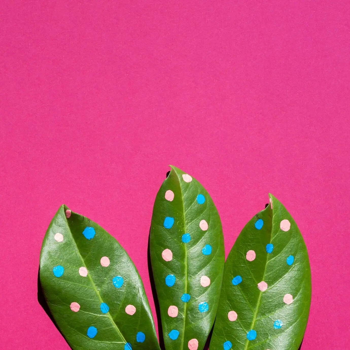 Detailaufnahme von Blättern mit Punkten und freiem Textbereich im Hintergrund.